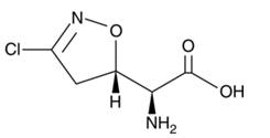 acivicin molecule